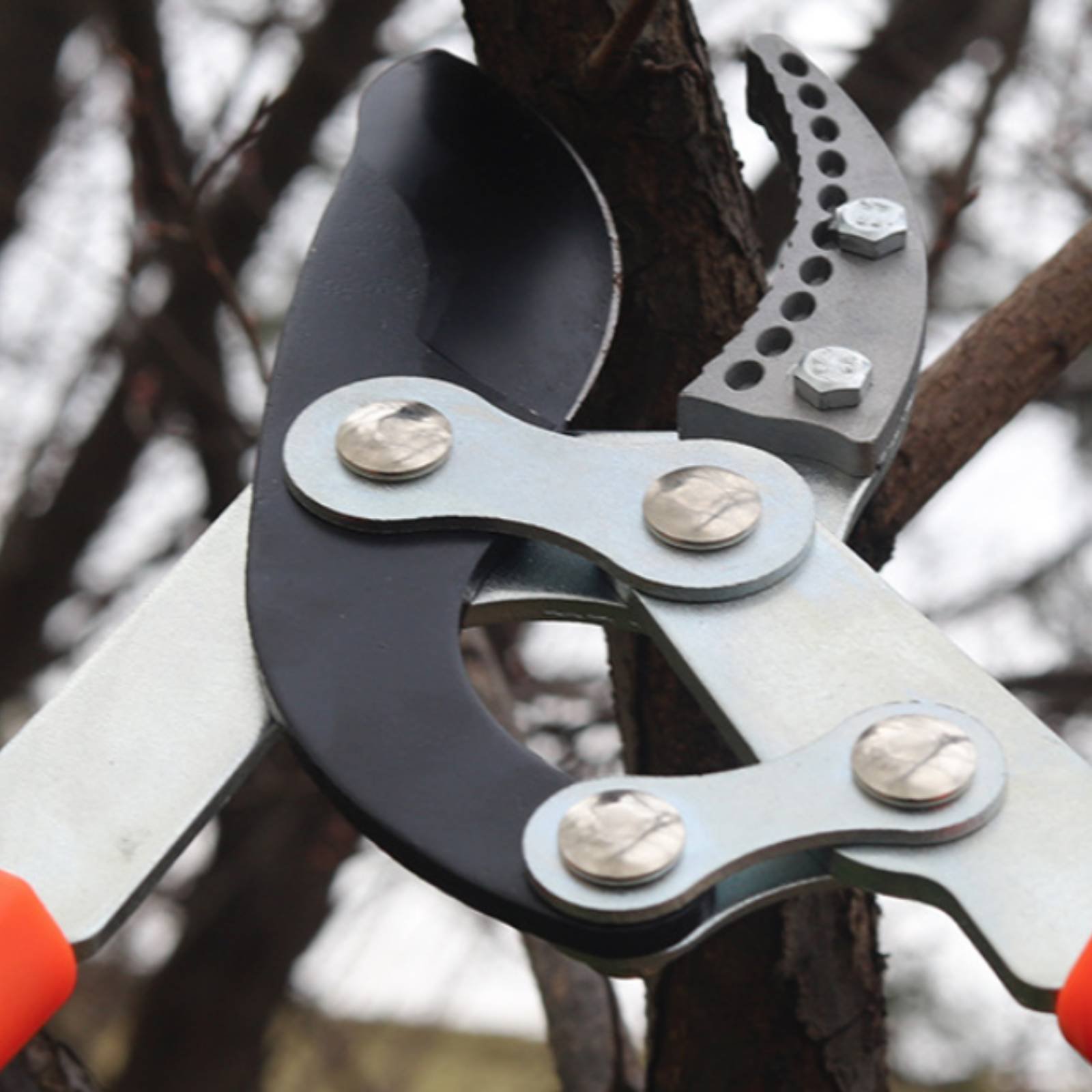 Garden Tools - กรรไกรตัดกิ่งแบบยืดหดได้ ใบมีดคม กรรไกรตัดกิ่งไม้แบบทนทาน ด้ามจับสบายมือ เครื่องมือทำสวน เคลือบสารกันติด
