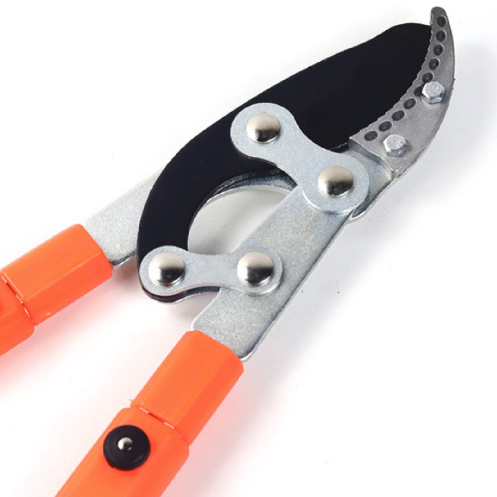 กรรไกรตัดกิ่งแบบยืดหดได้ ใบมีด - Garden Tools บทวิจารณ์และราคา